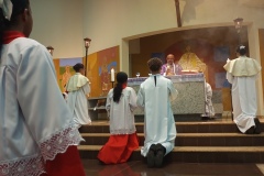 IMG_20250316_195923_426