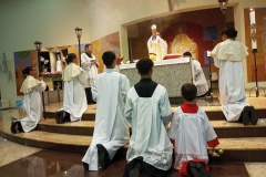 IMG_20250510_203553_933-01