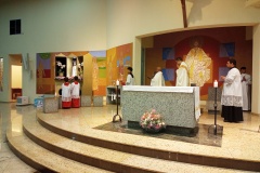 IMG_20250510_205541_971-01