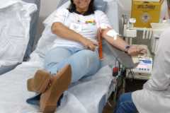Campanha de doação de sangue-14/06/2025