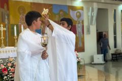 7bfdd21b-7668-47ec-9bf7-e0d0f43a8120