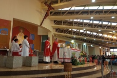 IMG_20241130_175113_044