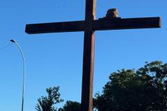 IMG-20260329-WA0147