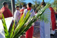 IMG-20260329-WA0278
