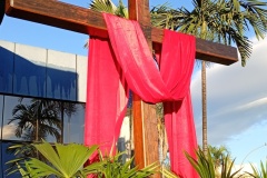 IMG_20260329_064956835_MFNR