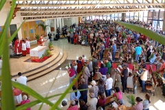 IMG_20260329_082728186_MFNR