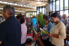 IMG_20260329_083503353_MFNR