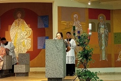 IMG_20241214_194232_645