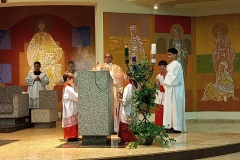 IMG_20241214_194752_050