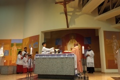 IMG_20241214_205249_114