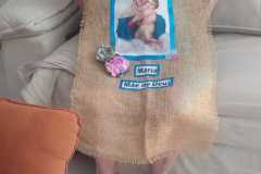 IMG-20260314-WA0182