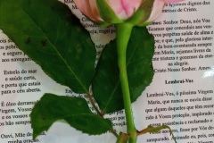 IMG_20251004_065043_905