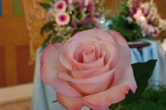 IMG_20251004_065434_130