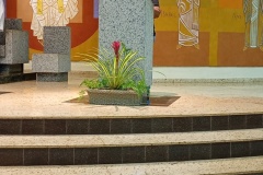 IMG_20260526_193922620_MFNR
