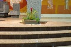 IMG_20260526_194434761_MFNR