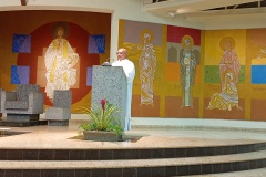 IMG_20260526_194442072_MFNR